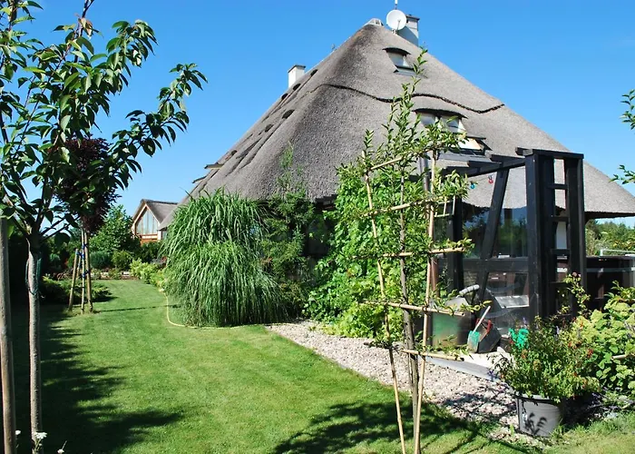 Mussurhouse * أوستكا