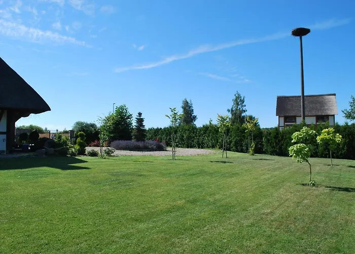 Mussurhouse فيلة *