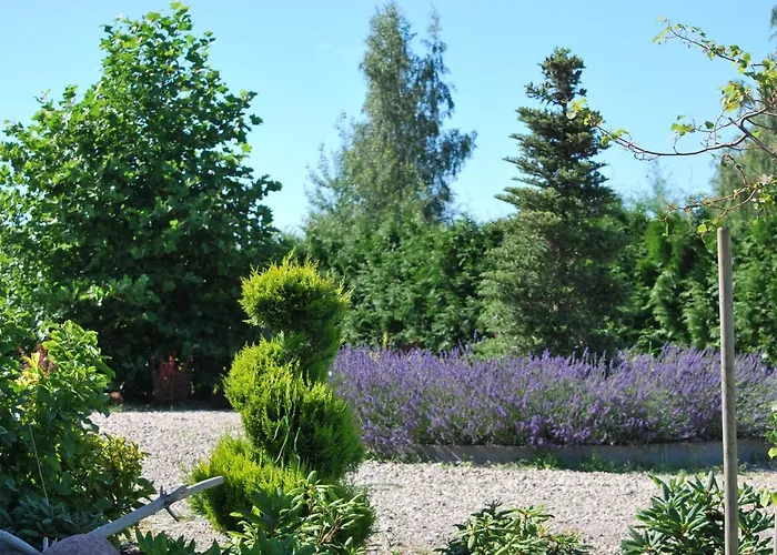 Mussurhouse فيلة *