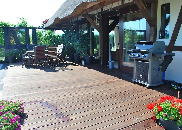 Mussurhouse فيلة *