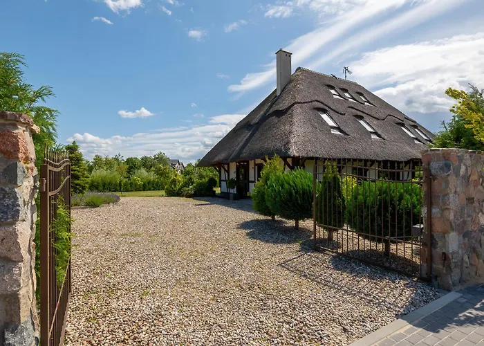 فيلة Mussurhouse *