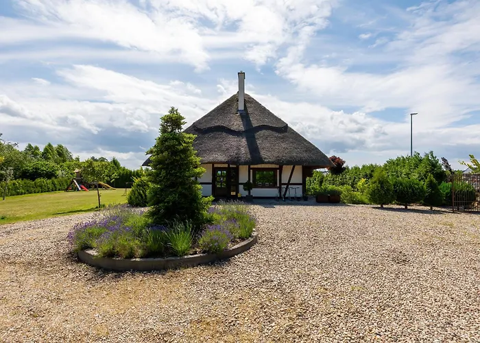 Mussurhouse أوستكا