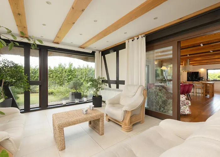 فيلة Mussurhouse