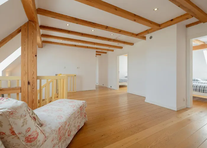 Mussurhouse فيلة