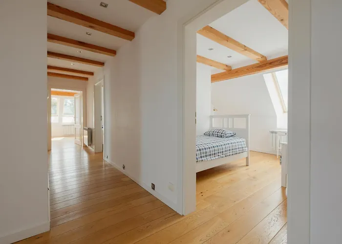 فيلة Mussurhouse أوستكا