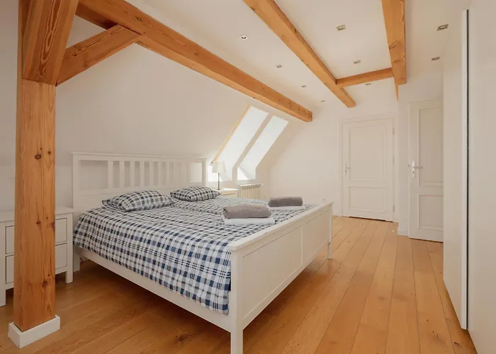 Mussurhouse فيلة أوستكا