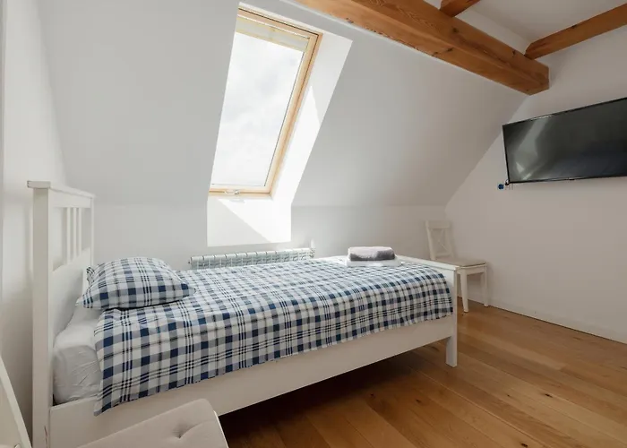 Mussurhouse أوستكا