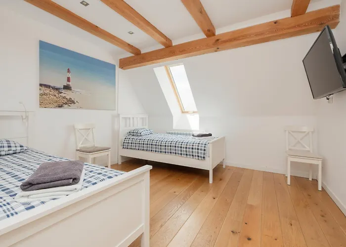 فيلة Mussurhouse