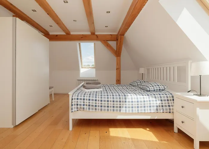 Mussurhouse أوستكا